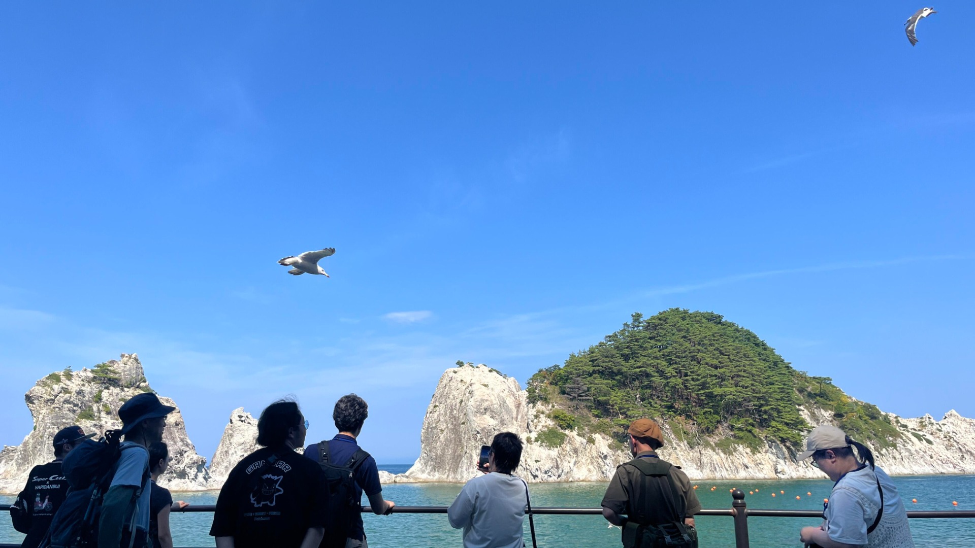 ウミネコを観察している学生